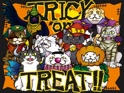 ハロウィン仮装猫
