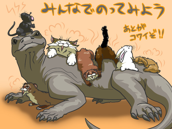 トカゲと他色々