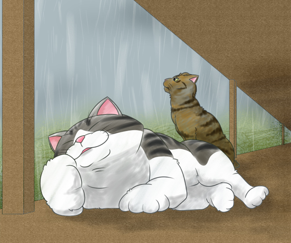 雨と猫