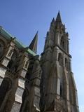 20100606_976632.jpg