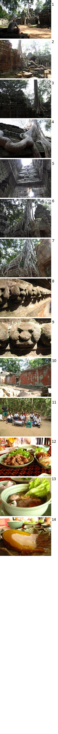 ¥«¥ó¥Ü¥¸¥¢6.jpg