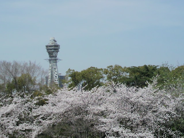 P1002236.jpg