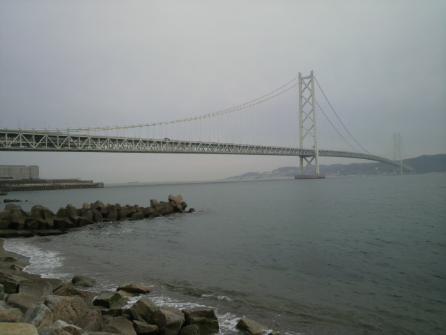 P1002238.jpg