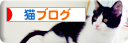 ランキング用猫ブログ