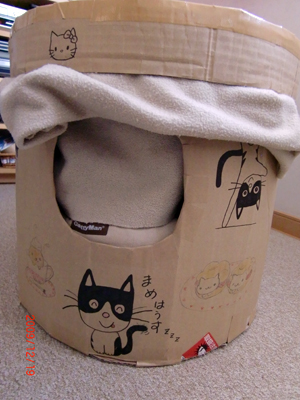 ねこの段ボールハウス