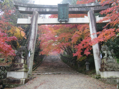 6300