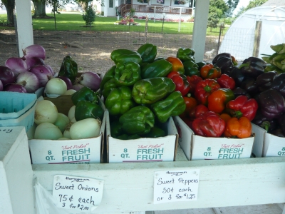 Green and Red Peppers