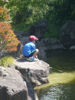 Finding frogs