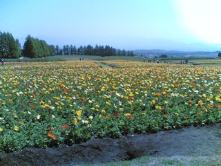 生駒高原