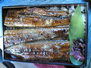 うなぎうなぎ2007