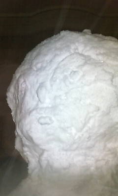 20101225191915.jpg