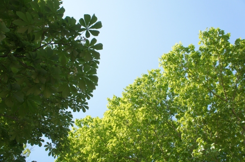 写真 2017-05-20 14 01 55.jpg