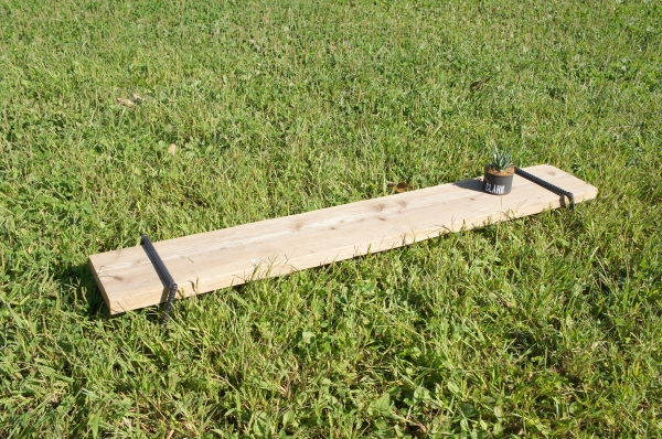 ironlegS.JPG