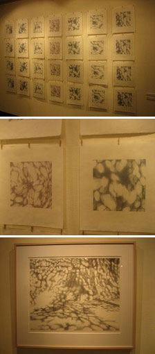 板東里佳展 −Light Petals-