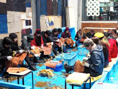 P1088157.JPG