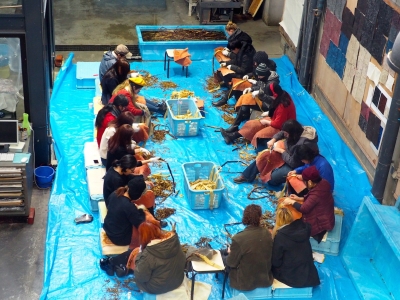 P1088169.JPG