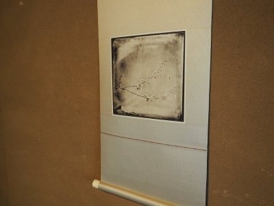 P4230105.JPG