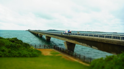 ÃÓ´ÖÂç¶¶