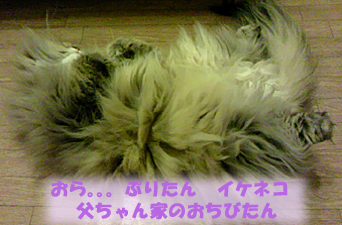CAA26NN7のコピー.jpg