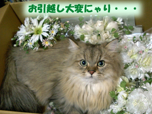 20021027のコピー.jpg