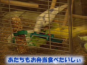 PC093534のコピー.jpg