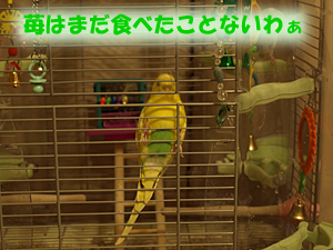 PC273769のコピー.jpg