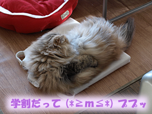 PC133595のコピー.jpg