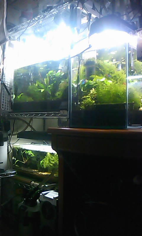 100227_2201~01.jpg