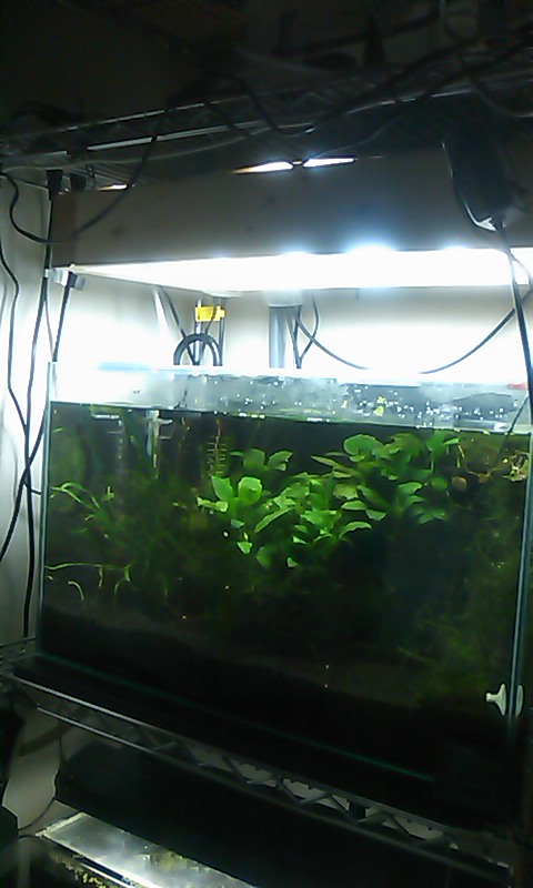 100330_0151~01.jpg