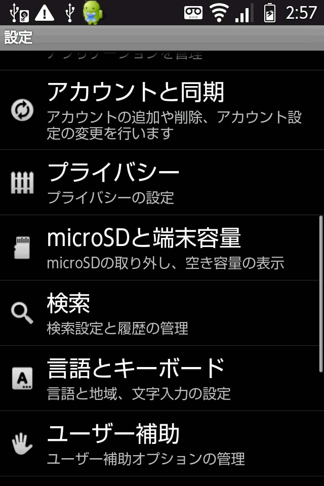 20110123n.jpg