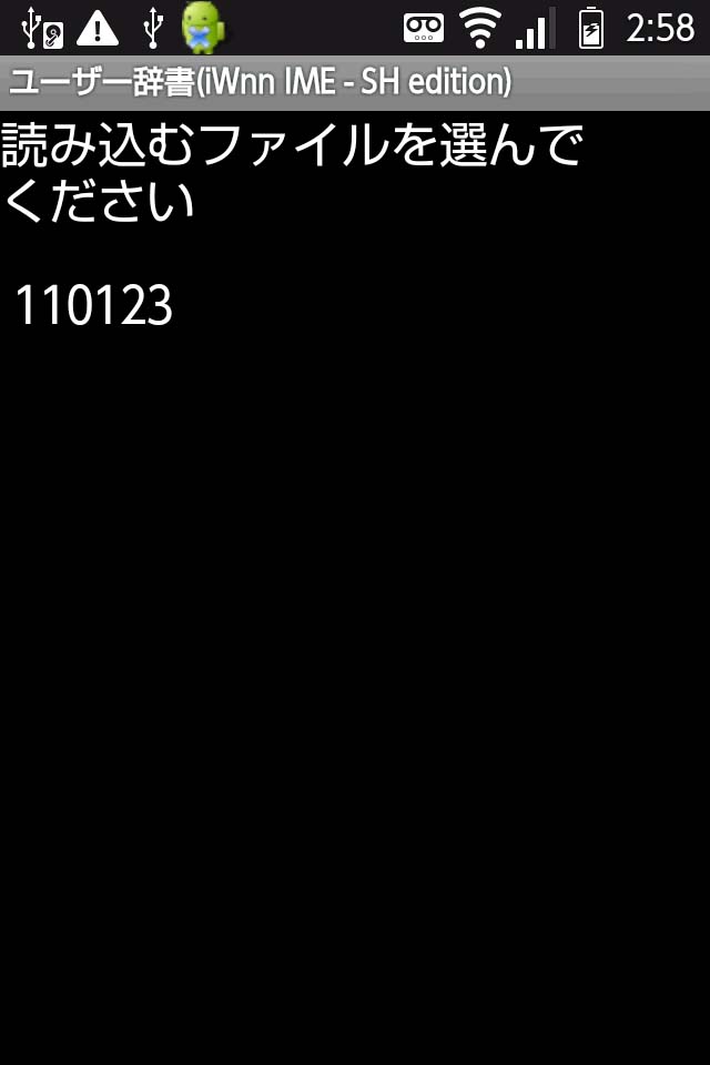 20110123r.jpg