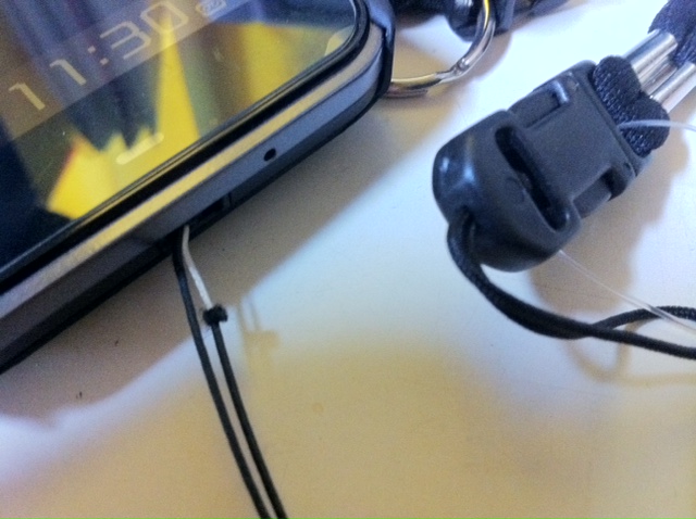 20110207b.jpeg