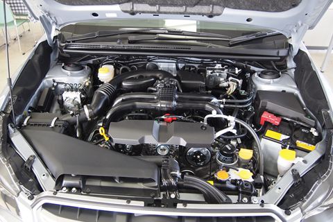 P2030779_R.JPG