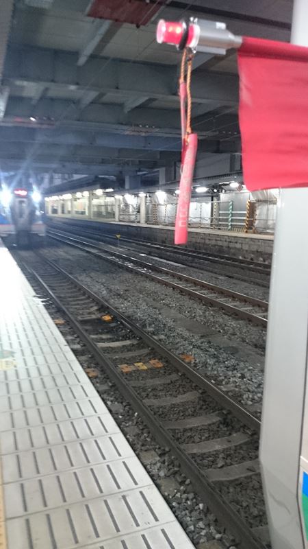 DSC_1516_R.JPG