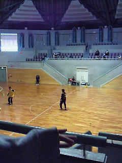 201104031227000.jpg