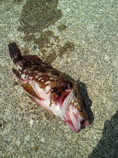 201104241305000.jpg