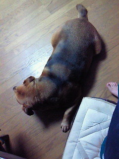 201104281930000.jpg