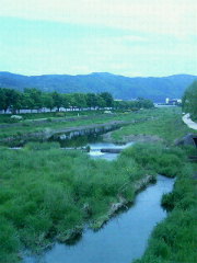 200905051401000.jpg
