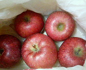 201111281317001.jpg
