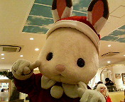 201112241755000.jpg