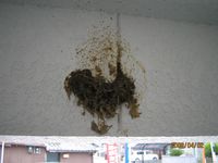 半分位出来ました