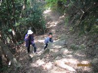 頑張って登ります