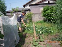僕が取りました
