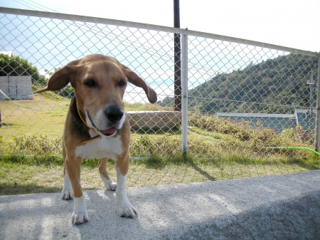 DSCN1459 - コピー.JPG