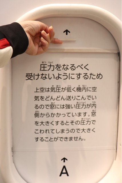 iPhoneImage.png