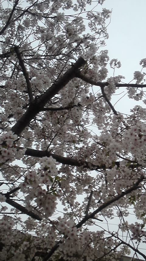 150406_1730~01.jpg