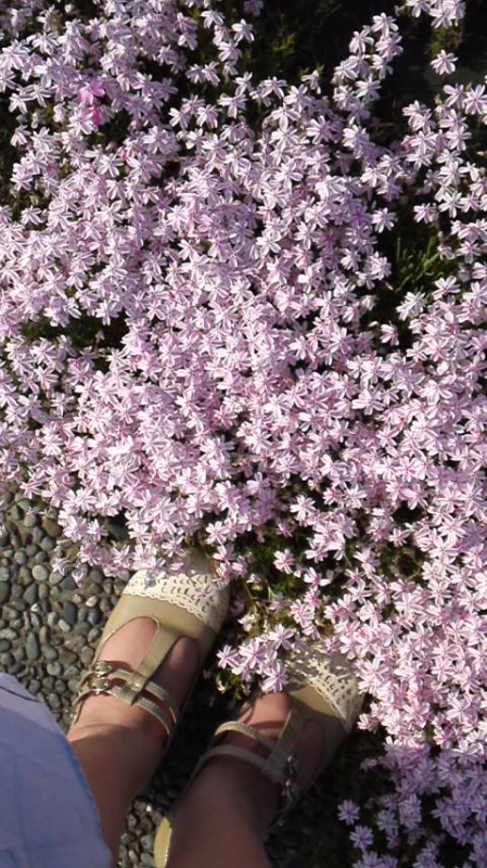 mini_170520_1607.jpg