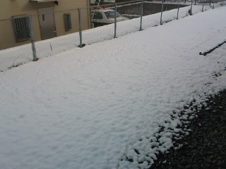 L01A0222.JPG