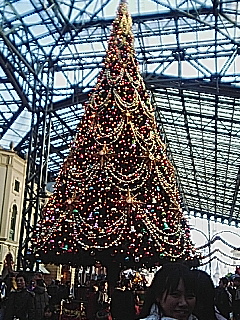 20051216_93335.jpg