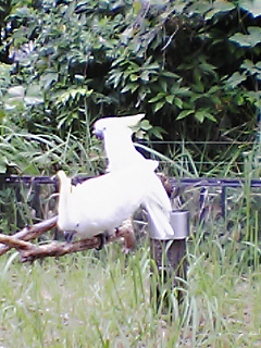 20060912_249238.jpg